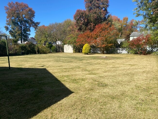 Building Photo - 253 Holly Ave