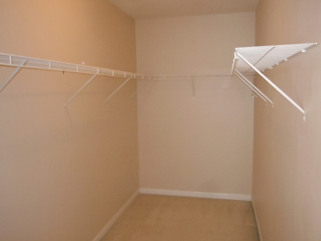 Building Photo - 100 Angel Oak Ct