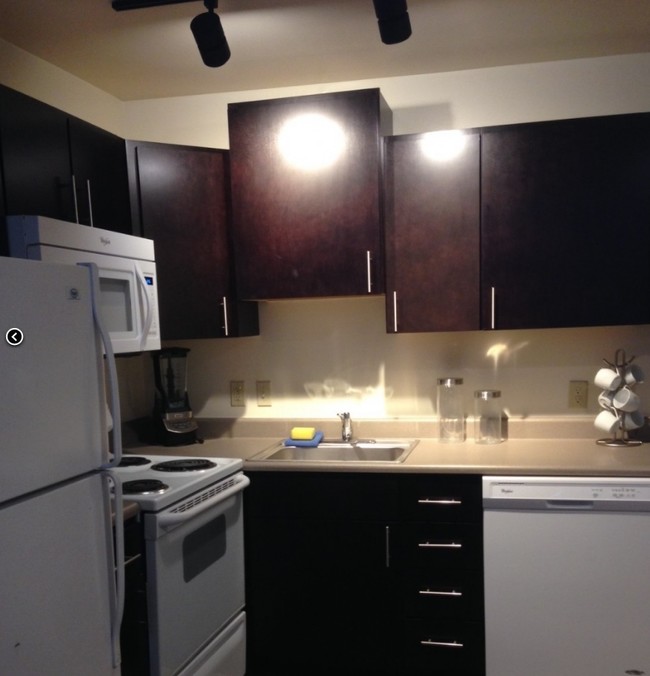 Interior Photo - Stoughton Street Apartments