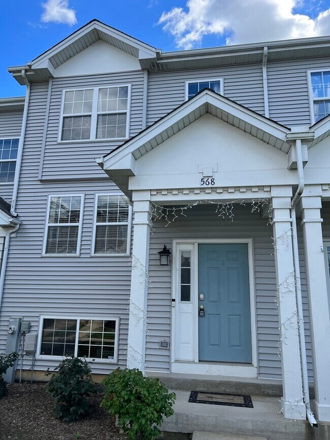 568 Triumph Ct 568 Triumph Ct Hainesville IL 60073 Apartment Finder