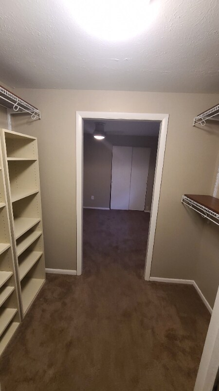 Building Photo - 8763 Meadowcreek Dr
