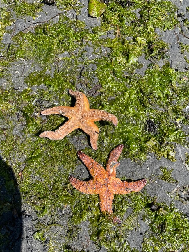 Building Photo - 22985 Marine View Dr S