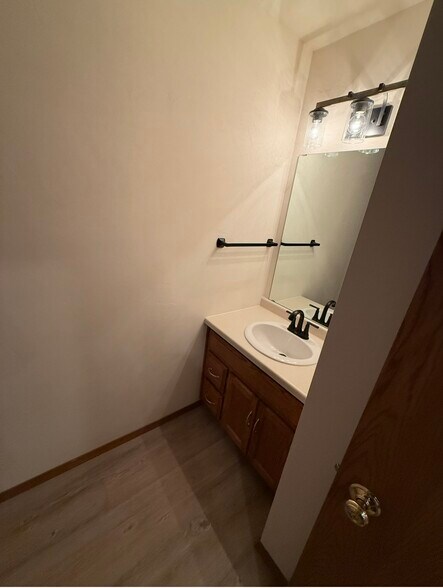 Downstairs bathroom - 1021 Rolling Meadows Dr