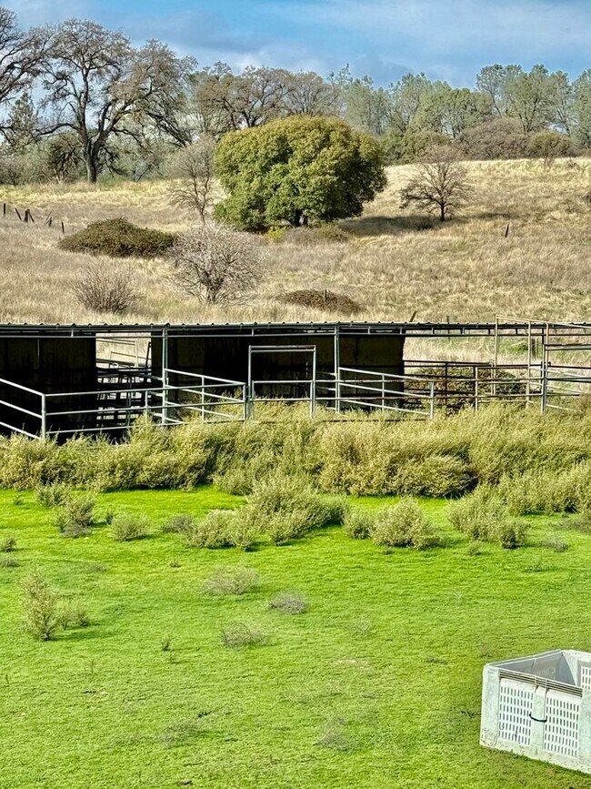 Building Photo - Unique Horse property with 2 units
