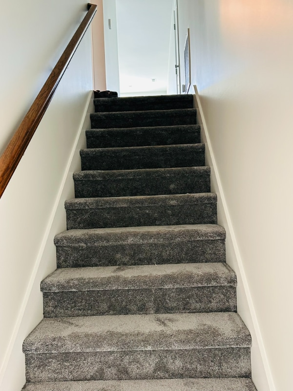 Building Photo - 292 Holt St