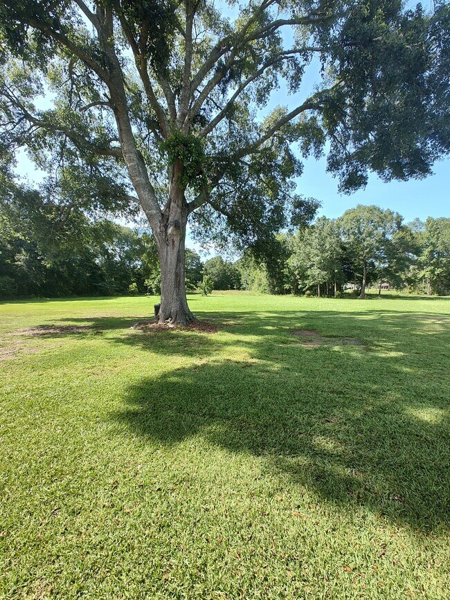 Building Photo - 9023 Brittonville Rd