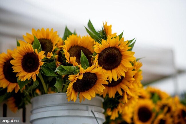 Building Photo - 432 E Luray Ave