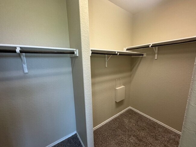 Building Photo - Must See Newly Updated 5/3.5 Home in Alamo...