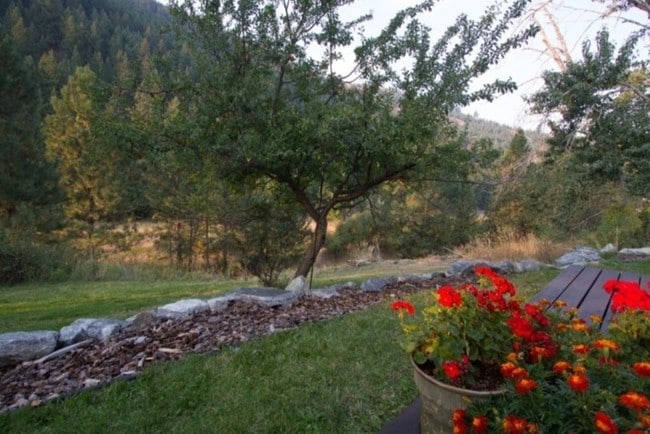 West View from deck - 9491 Miller Creek Rd