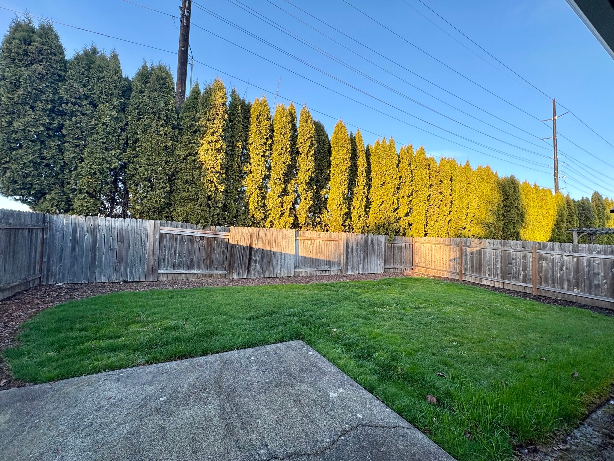 Fenced backyard - 3320 NW 118th St