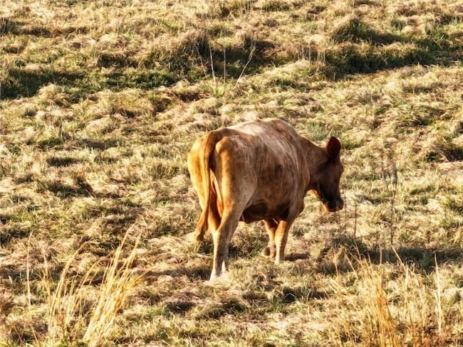 Building Photo - 8765 Daybreak St