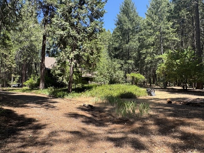 Building Photo - 13216 Tranquility Ln