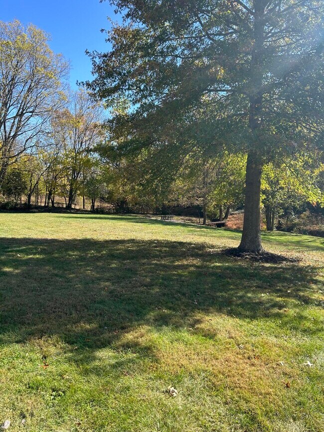 Building Photo - 409 Lawson Dr