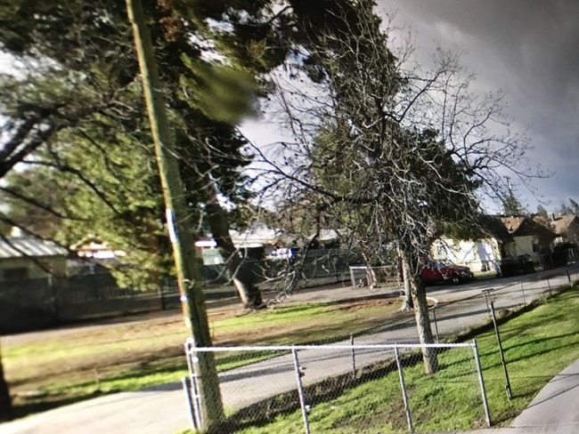 Front yard is big enaugh to build a play area for tenants - 919 Castro Ln
