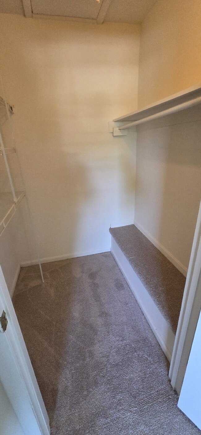 Building Photo - Beautiful 3BR Home in Lorton