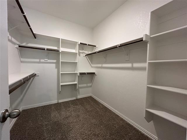 Building Photo - 7205 Tesoro Trl