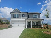 Building Photo - New 5 Bedroom 3 Bath House For Lease Dallas GA