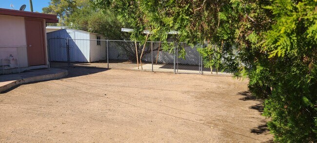 Back yard - 1375 E Louisiana Dr