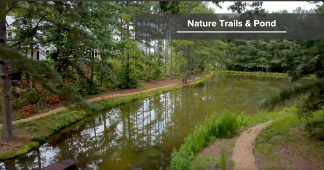 Building Photo - 493 Clark Creek Ln