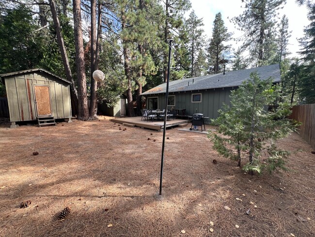 Building Photo - Cozy Cabin in the Woods