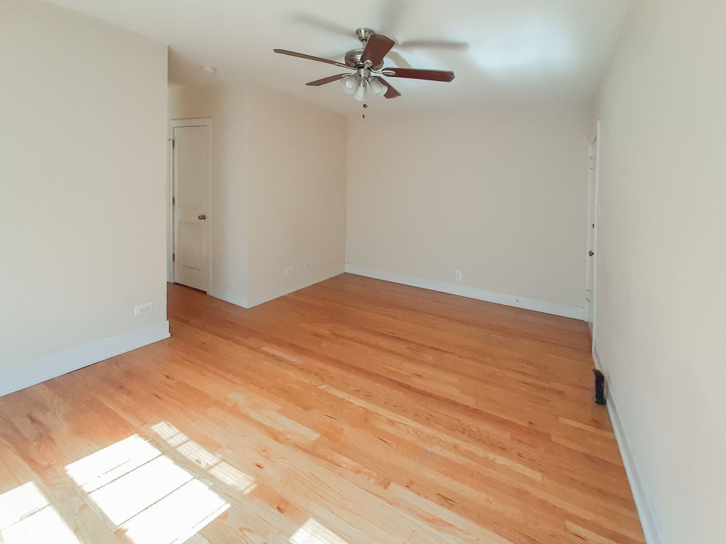 Building Photo - 538 W Cornelia Ave