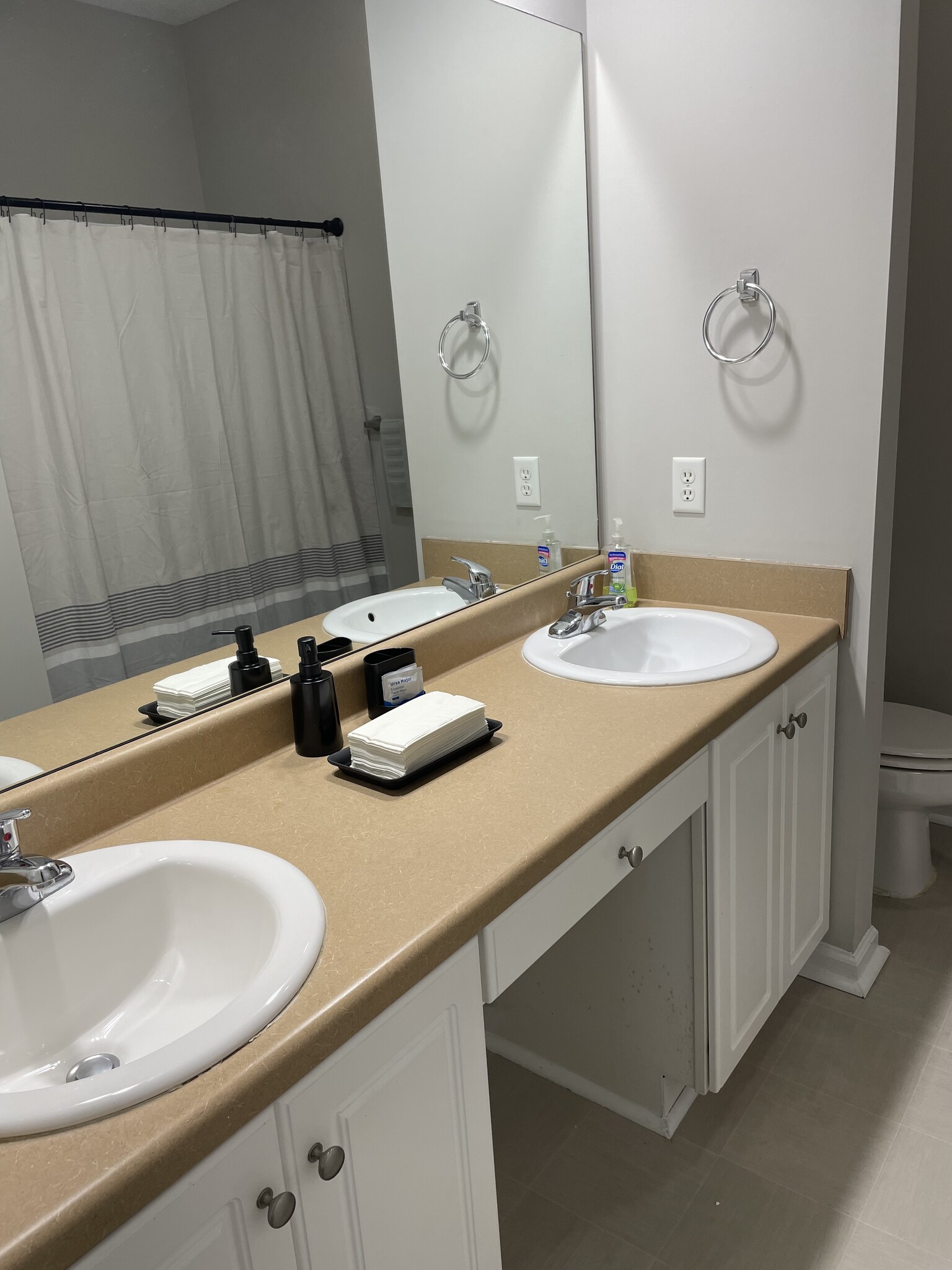 Masterer Bathroom - 305 Morgan Pines Dr