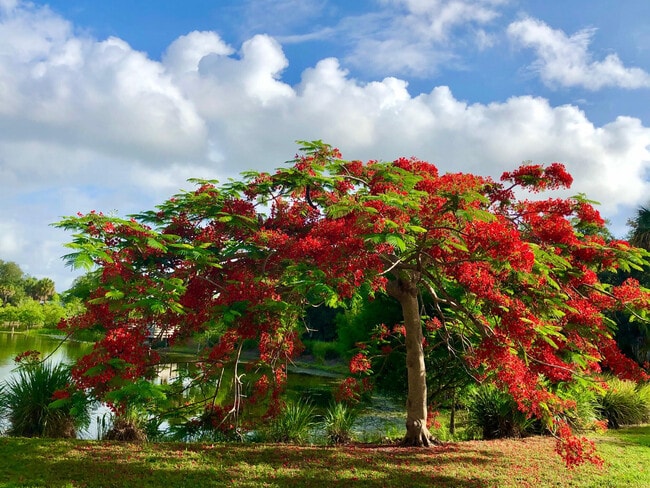 Building Photo - 2116 SE Eatonville Dr