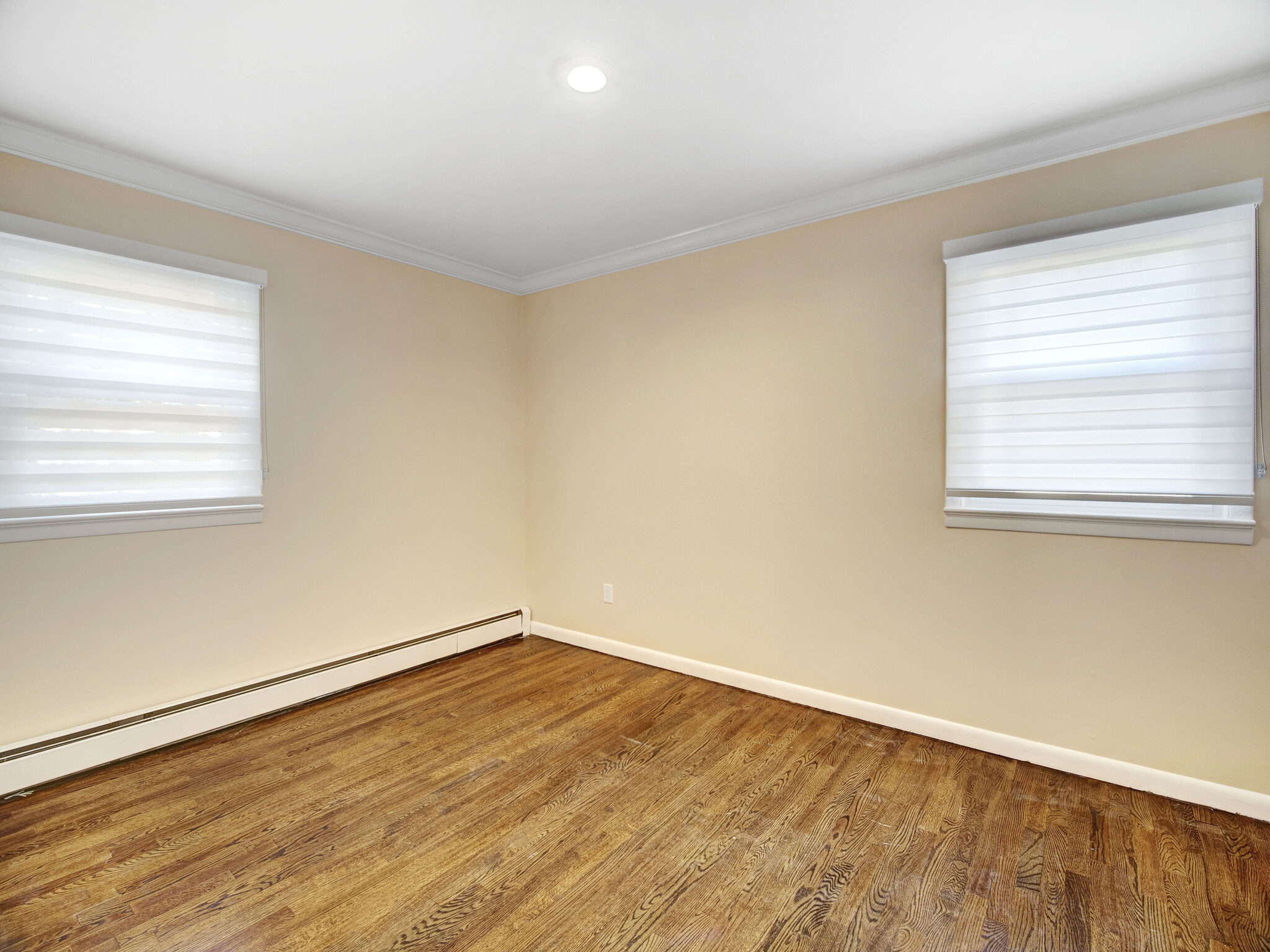 Building Photo - 29 Fitzherbert St
