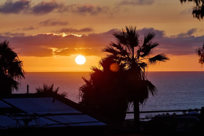 Building Photo - 2310 Edinburg Ave