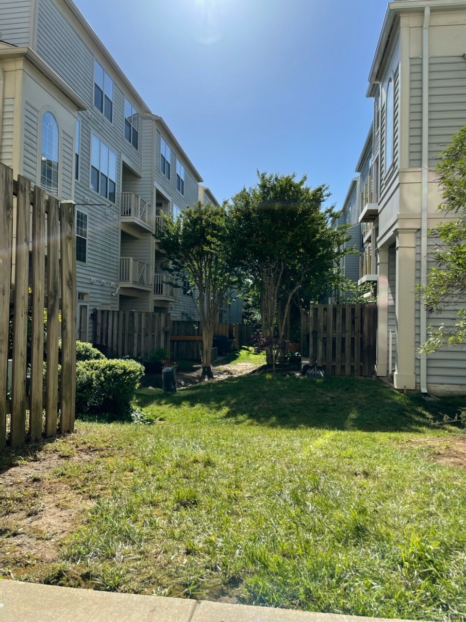 Yard - 1813 Kenwood Ave