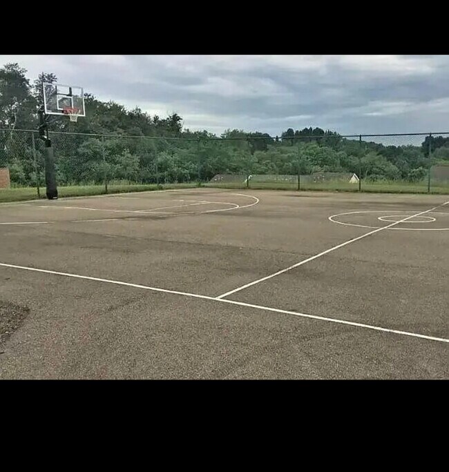 Basketball court - 8005 Revere Plz