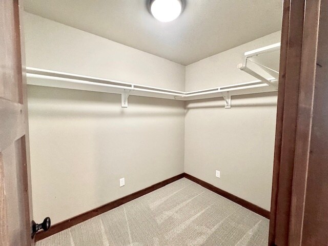 Building Photo - 1306 Fozzie Ln