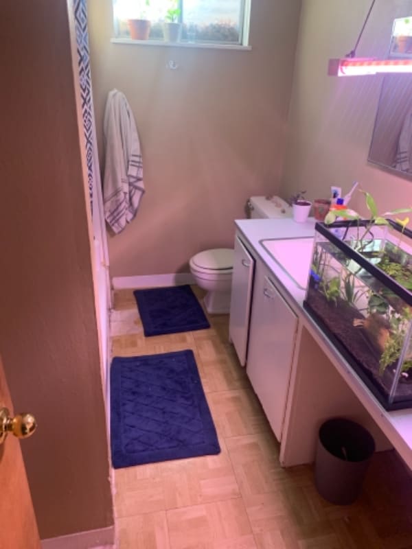 Building Photo - 1240 Southridge Dr