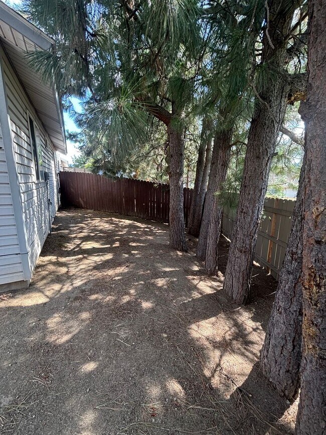 Building Photo - 211 N Lava