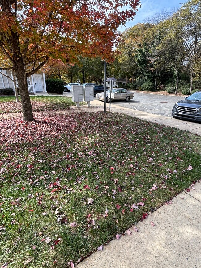 Building Photo - 917 Shearer St