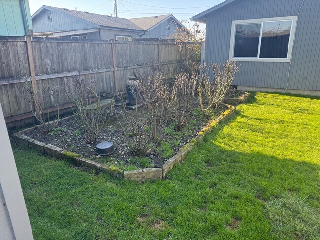 Building Photo - Check out this great 4 bedroom home!