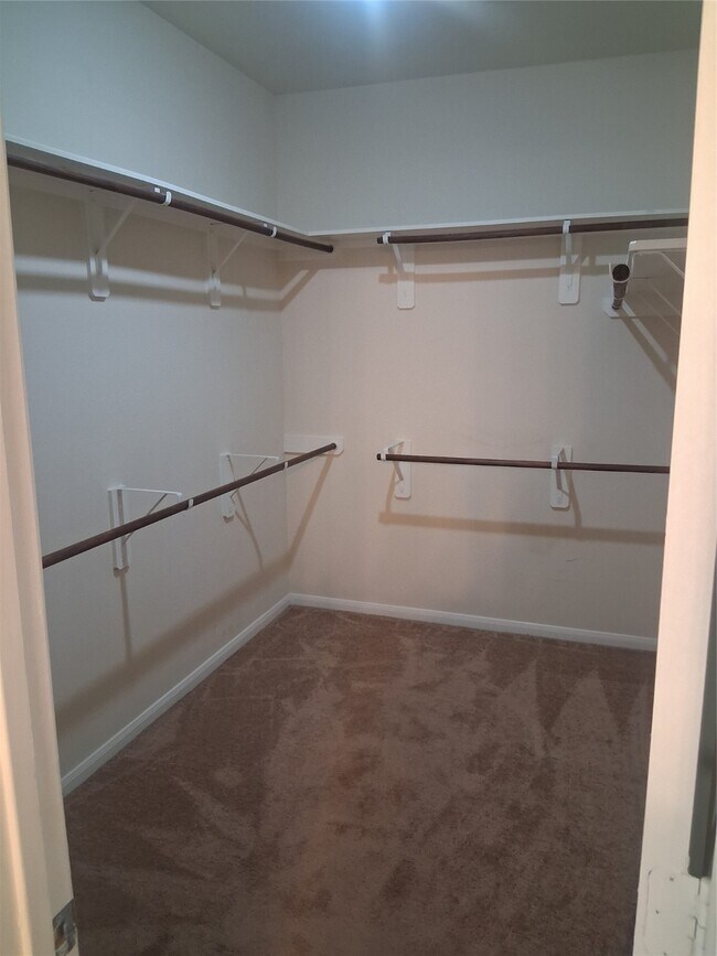 Building Photo - 13610 Spectacled Bear