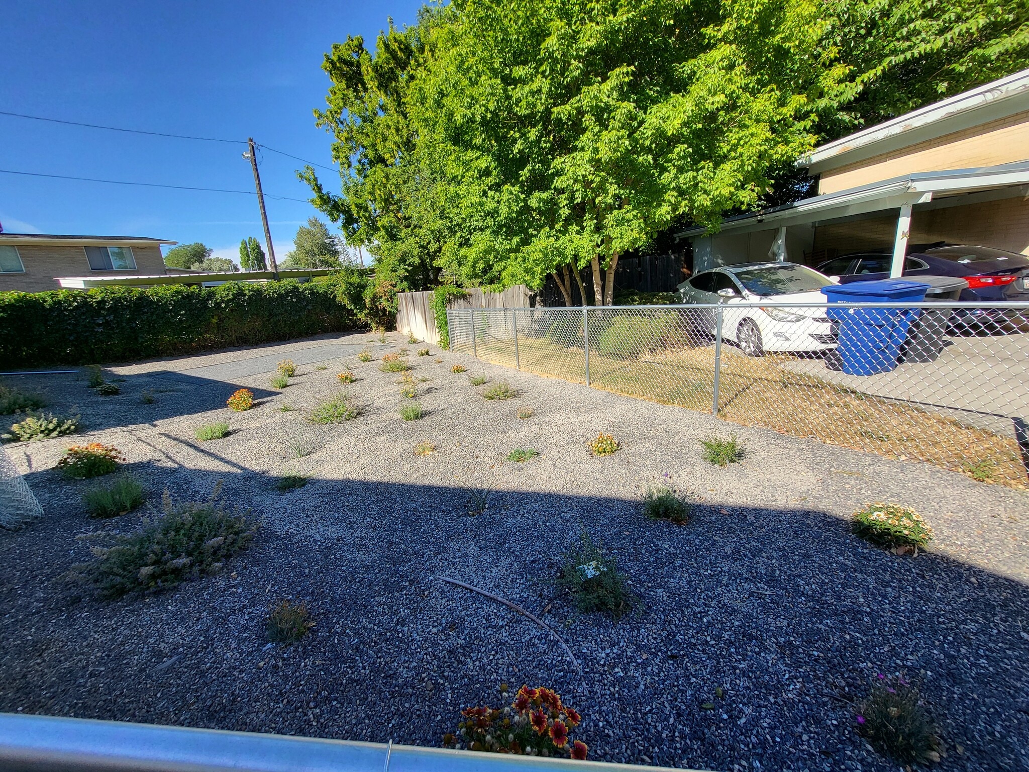 backyard # 2 besides the house after the fence was installed - 3224 S Verdant Cir