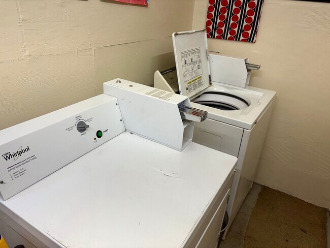 Building Photo - 556 Ward St