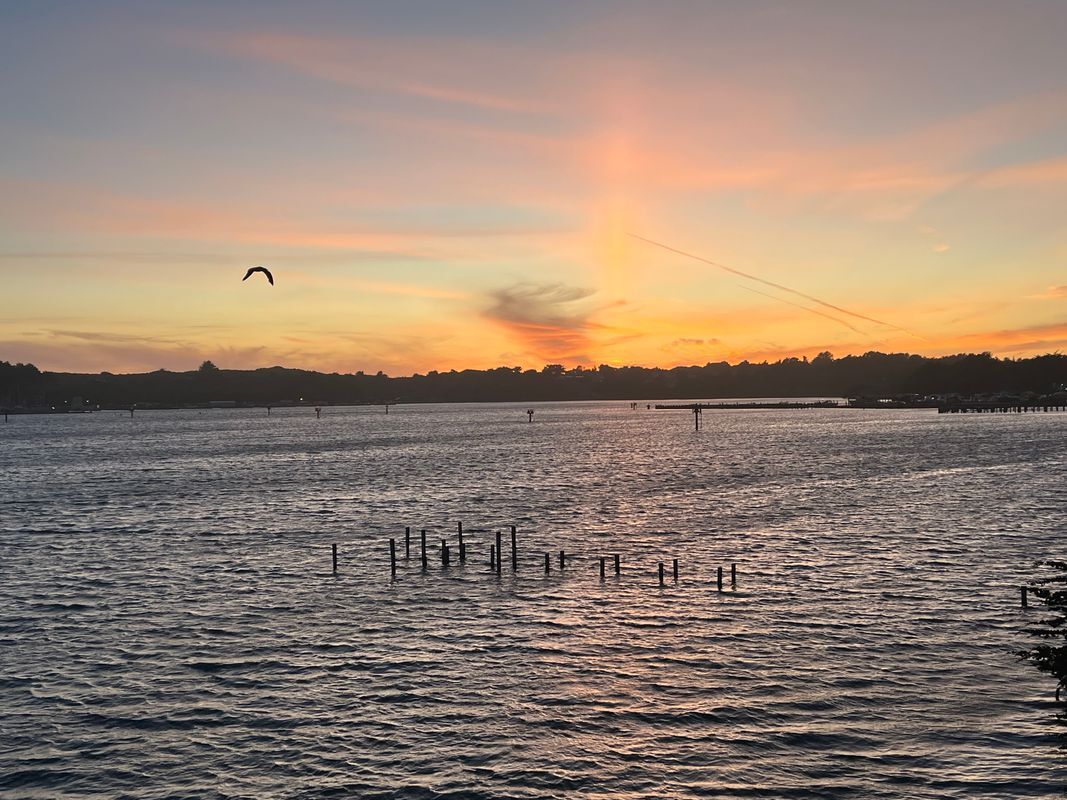 Building Photo - 975 CA-1