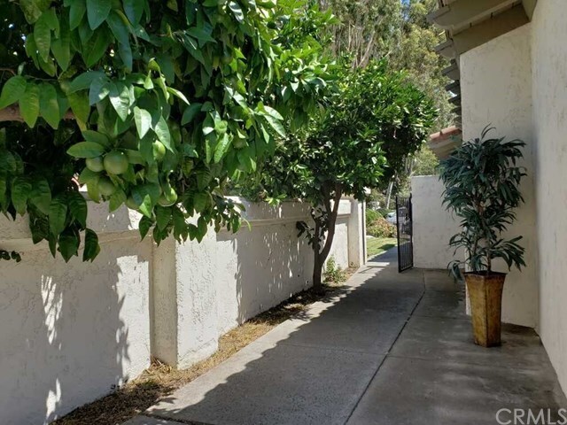 Building Photo - 31446 Via La Senda