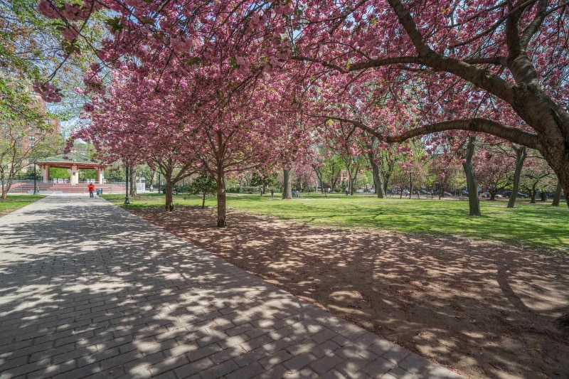 Building Photo - 237 3rd St