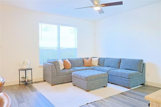 Building Photo - 1020 S Emil Pl