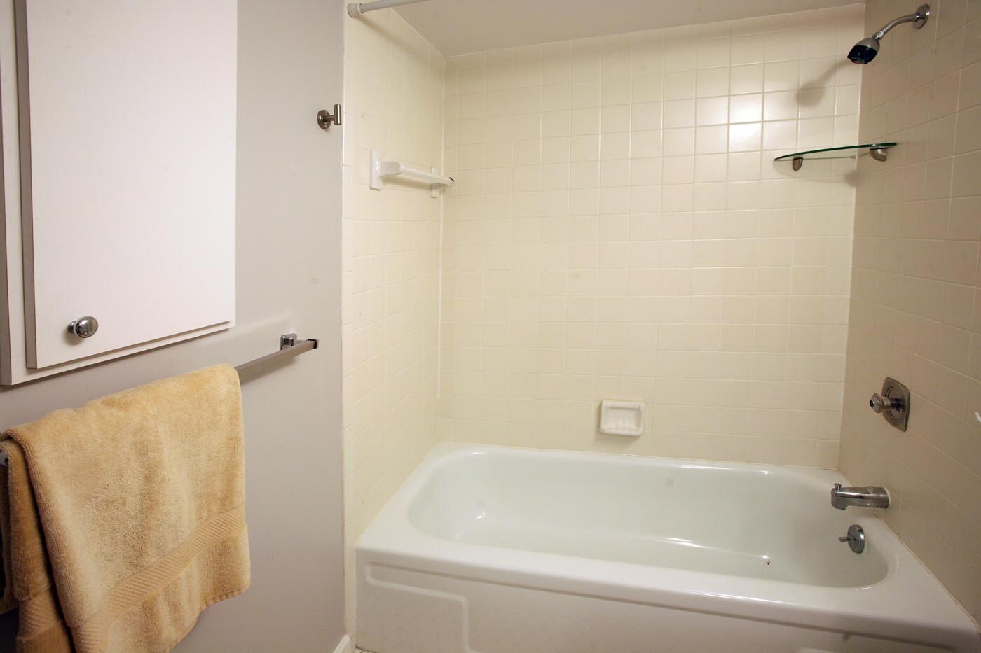guest bath - 1636 Brookhouse Dr