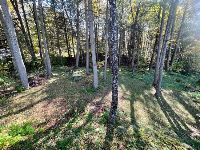 Building Photo - 4BR/1.5 Bath in Dalton – $2,800/mo Peacefu...