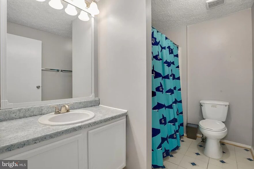 Another Full Bathroom on the Second Level - 12504 Timber Hollow Pl