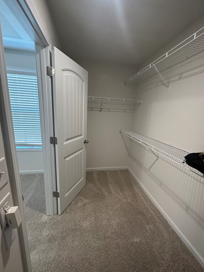 Building Photo - 1853 Ruger Dr