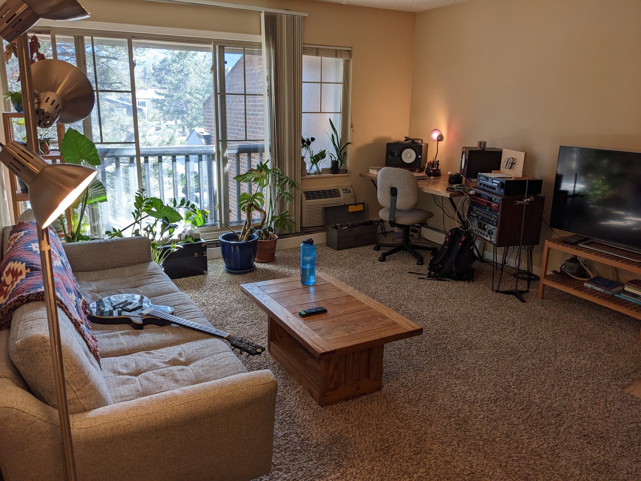 Plants grow well in sun - 850 W Moorhead Cir