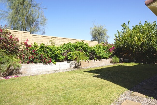 Building Photo - 35579 Domani Dr