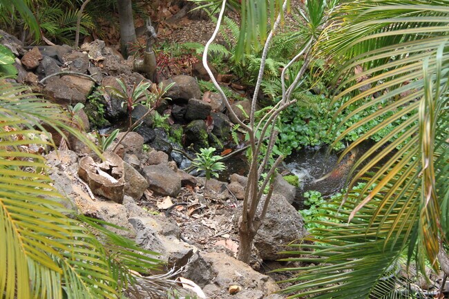 running stream, and waterfall - 3442 Keha Dr